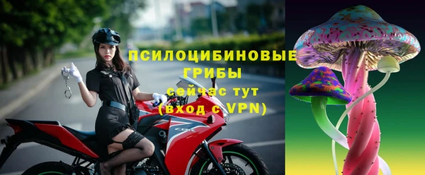 индика Балахна