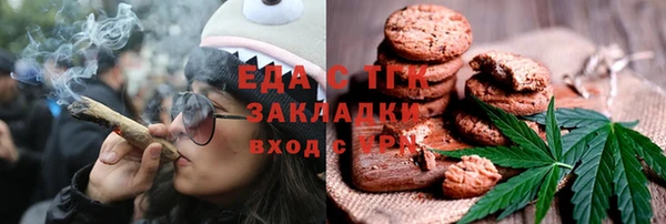 индика Балахна