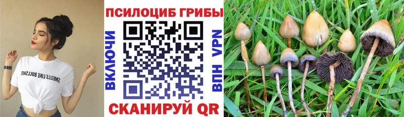 Галлюциногенные грибы GOLDEN TEACHER  Слободской 